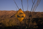 Bike hazard sign, Saguaro National Park (East section), Tucson, Arizona.