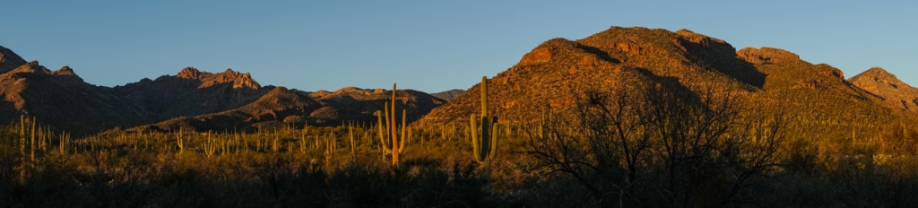 Tucson, Arizona, Catalina State Park